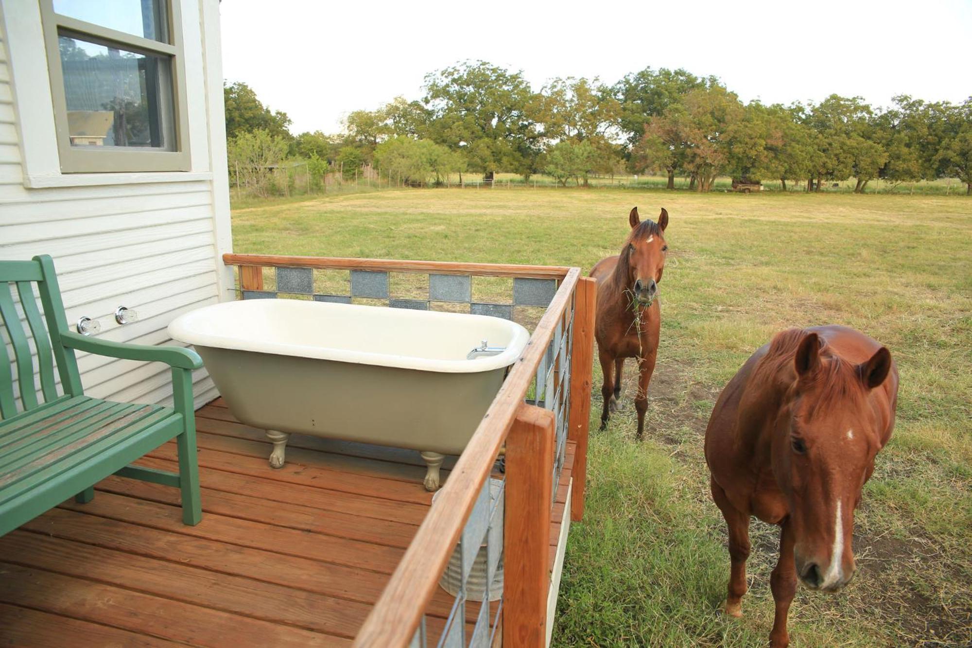 Montesino Ranch Lodging Villa Wimberley Eksteriør billede