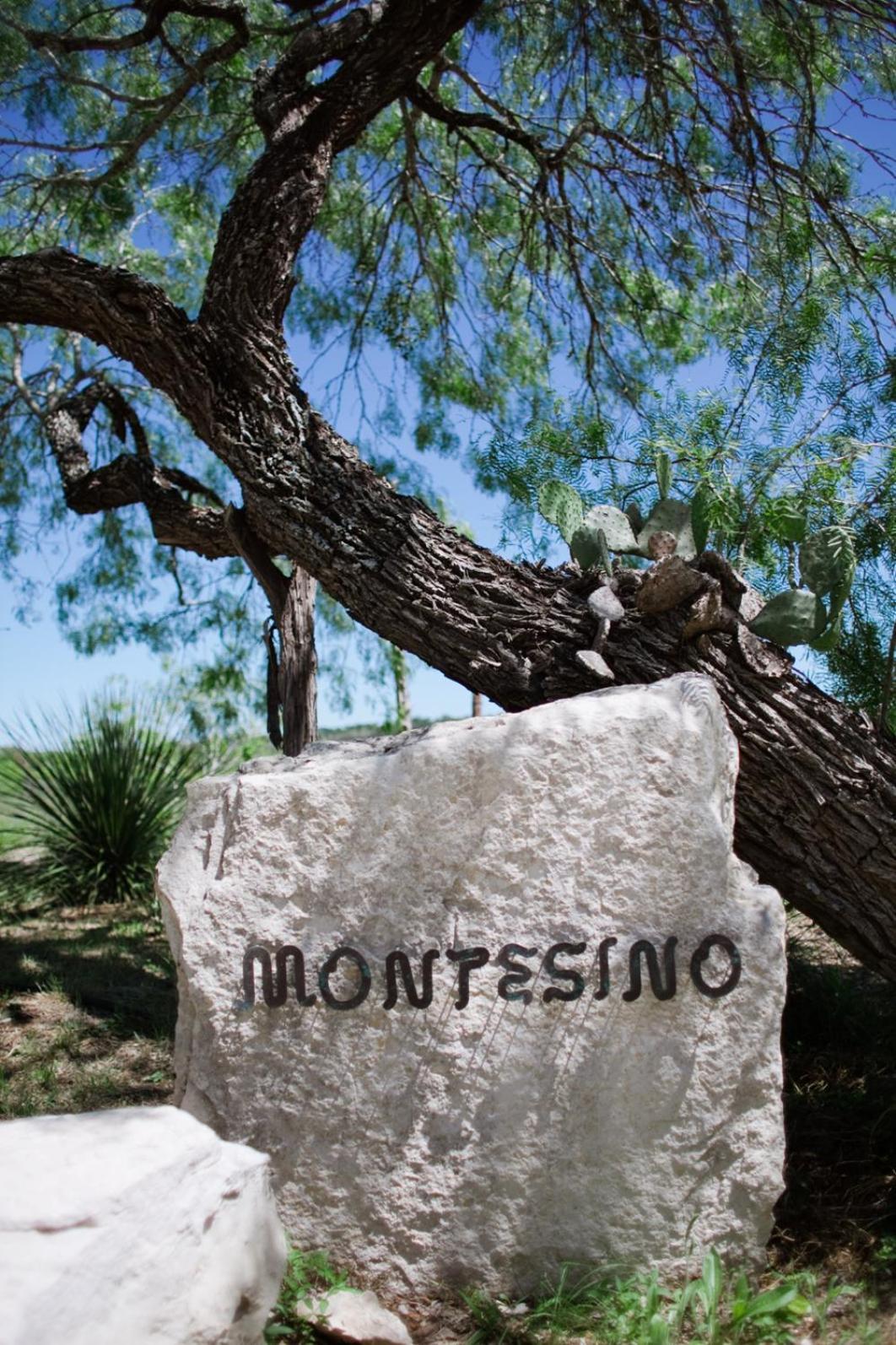 Montesino Ranch Lodging Villa Wimberley Eksteriør billede